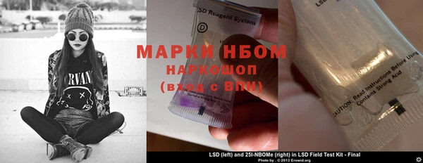 ГАЛЛЮЦИНОГЕННЫЕ ГРИБЫ Алексин