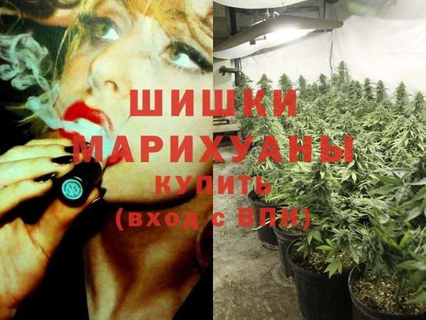 молекула духа Алзамай