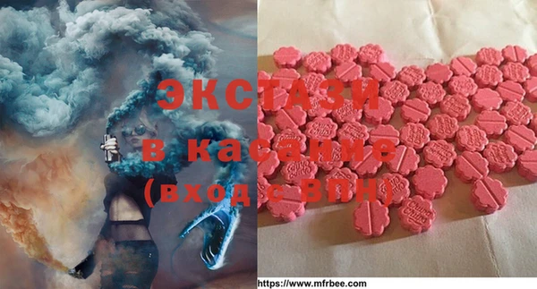 гашик Алексеевка