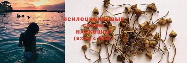 ГАЛЛЮЦИНОГЕННЫЕ ГРИБЫ Алексин